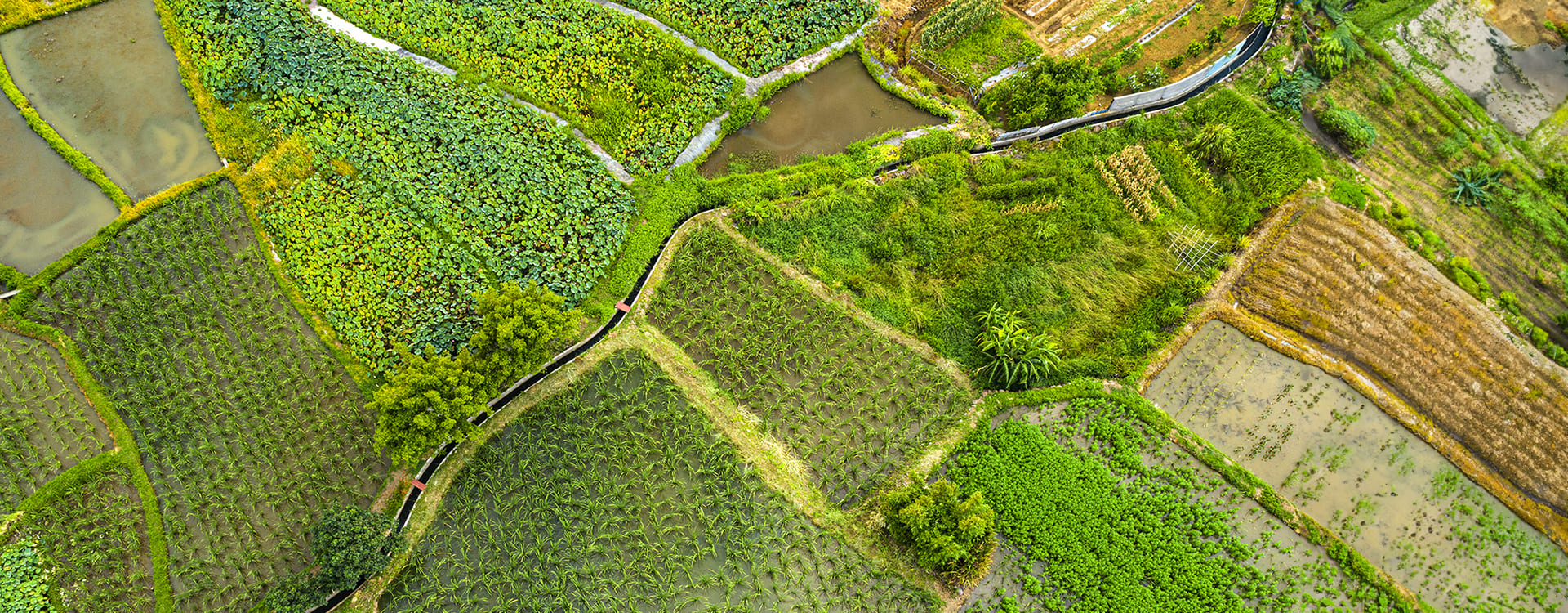 Maoxingdianzhen, Sanzhi District